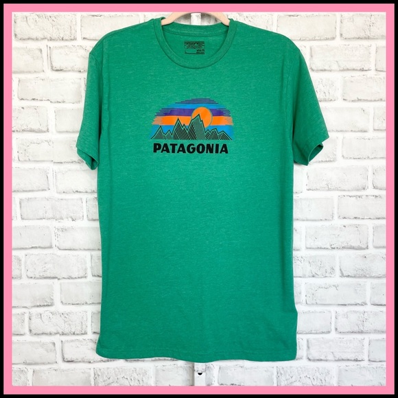 Patagonia Other - PATAGONIA || Style#38958 Unisex Green Slim Fit T-Shirt  Large